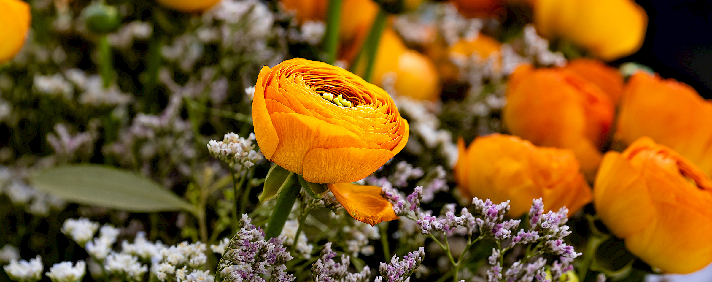 Detail eines Blumenstraußes mit orangen Ranunkeln